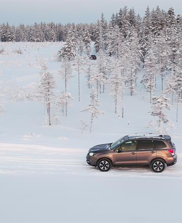 SUBARU_FORESTER-41-hr